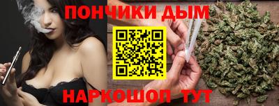 гидра Камень-на-Оби