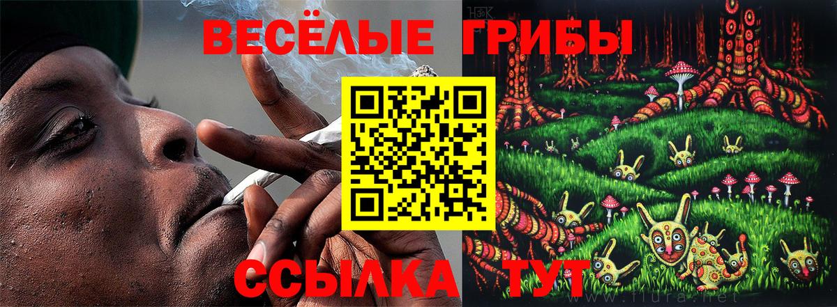 магазин    Галлюциногенные грибы мухоморы  Галлюциногенные грибы MAGIC MUSHROOMS  Вход с VPN  Борисоглебск 